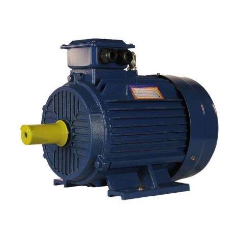 Электродвигатель АИР 100L6
