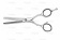 Ножницы парикмахерские филировочные Eclypse T65765 фото купить в Москве Ножницы парикмахерские филировочные Eclypse T65765 купить в Москве