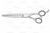 Парикмахерские ножницы филировочные Space T52070 фото купить в Москве Парикмахерские ножницы филировочные Space T52070 купить в Москве