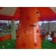 Inflatable Fun Carousel Bouncy House