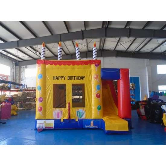 Bouncy Castle Birthday Party