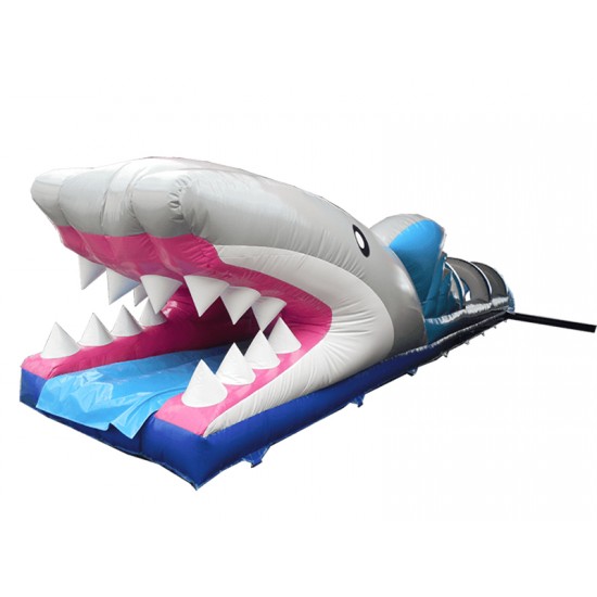 Haifisch Dia Haifisch Dia