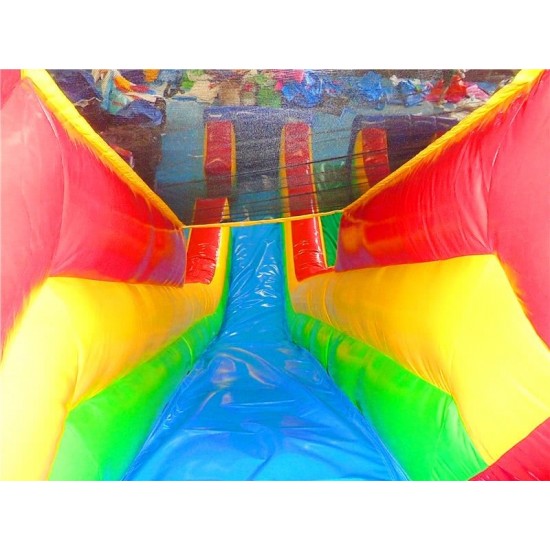 Inflatables Double Lane Slide