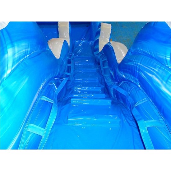 Inflatable Dolphin Water Slide