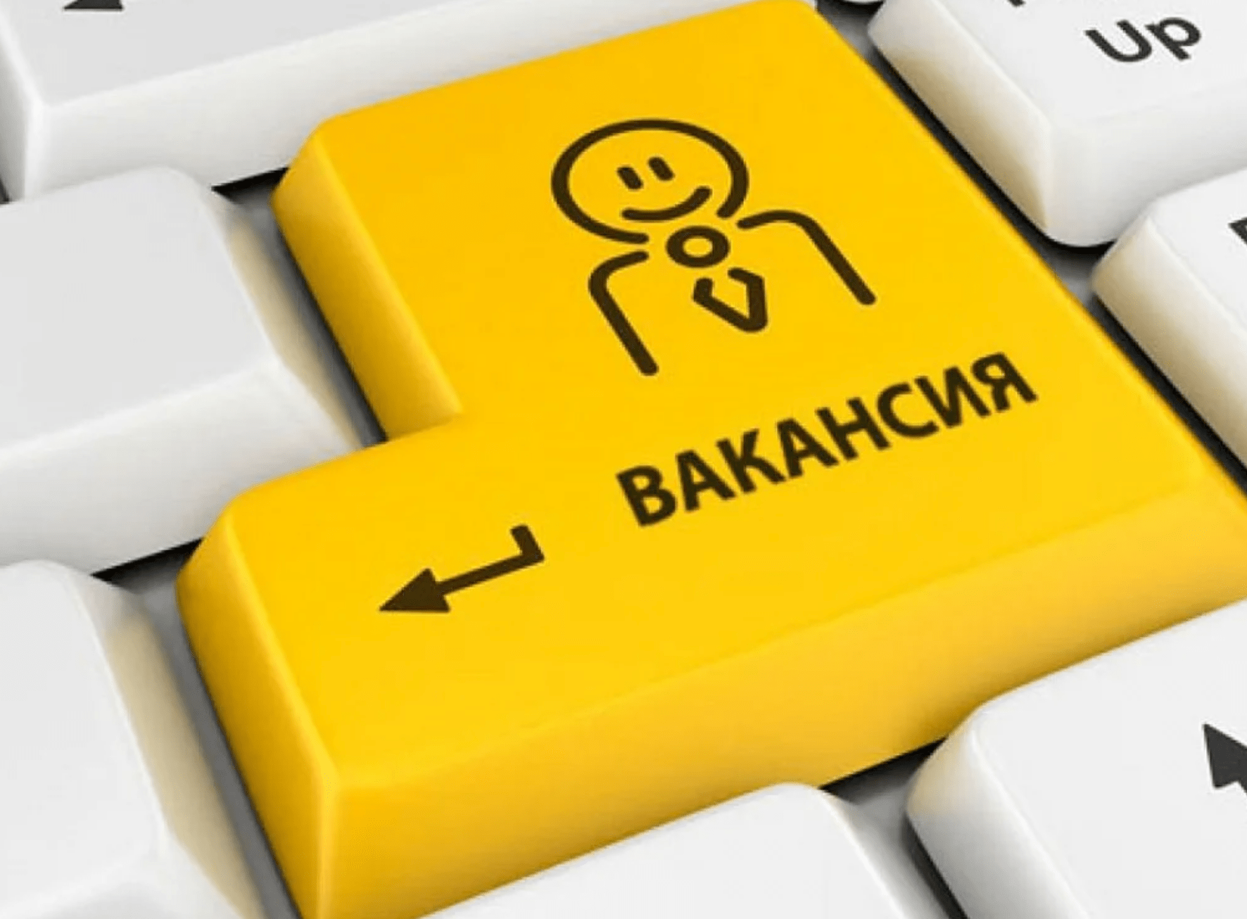Возможно ли найти работу после онлайн-курсов и как изменяются доходы выпускников Возможно ли найти работу после онлайн-курсов и как изменяются доходы выпускников