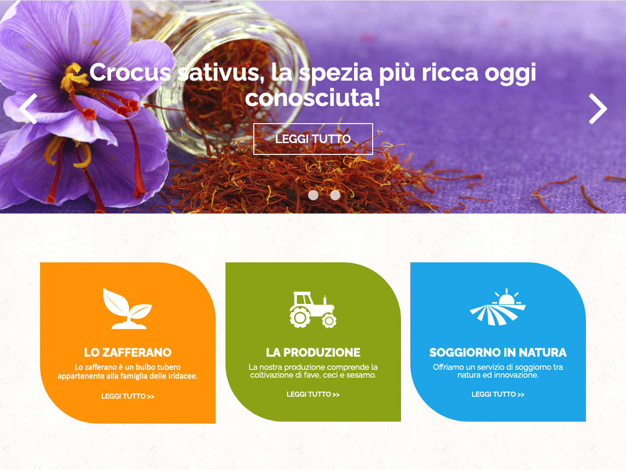 Ecommerce Website