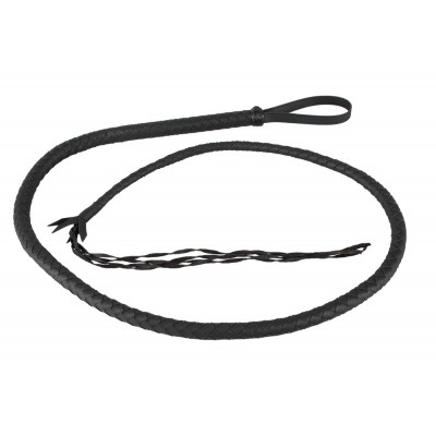 Whip !60 cm