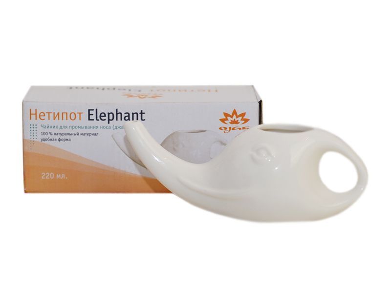 //cdn.optipic.io/site-104779/news/novinki_noyabrya/Netipot_Elephant_with_box.jpg