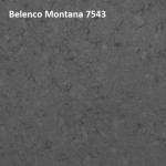 Belenco-Montana-7543