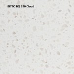 BITTO-BQ-920-Cloud