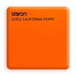 California_Poppy