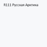 R111-russkaya_arktika-new