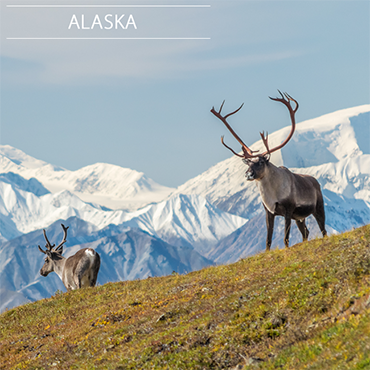 Bespoke_Experiences_Alaska_Luxury_Private_Tour