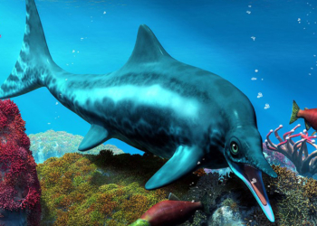 Учёные описали древнего ихтиотитана — крупнейшую морскую рептилию