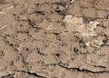 Откуда на Марсе признак жизни – метан