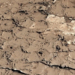 Откуда на Марсе признак жизни – метан