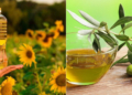 Какое масло полезнее: оливковое или подсолнечное