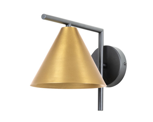 Основное фото Настенный светильник Arte Lamp David A7033AP-1BK: Купить в Интернет магазин освещения GCSVET.RU Основное фото Настенный светильник Arte Lamp David A7033AP-1BK: Купить в Интернет магазин освещения GCSVET.RU