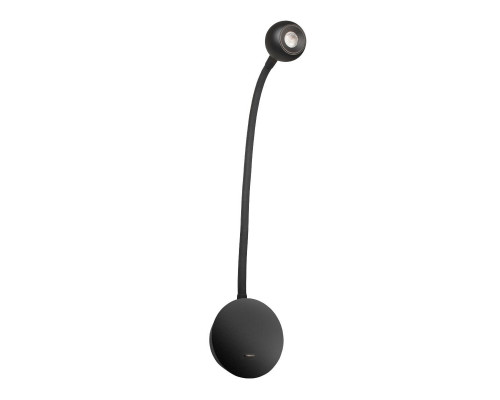 Дополнительное фото Гибкий светильник на стену Loft IT Point 10254 Black: Купить в Интернет магазин освещения GCSVET.RU Дополнительное фото Гибкий светильник на стену Loft IT Point 10254 Black: Купить в Интернет магазин освещения GCSVET.RU