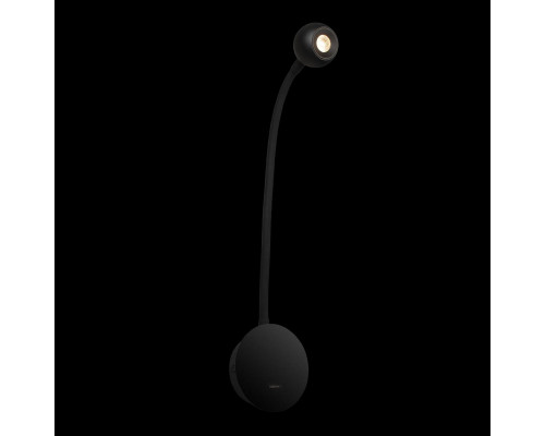Дополнительное фото Гибкий светильник на стену Loft IT Point 10254 Black: Купить в Интернет магазин освещения GCSVET.RU Дополнительное фото Гибкий светильник на стену Loft IT Point 10254 Black: Купить в Интернет магазин освещения GCSVET.RU
