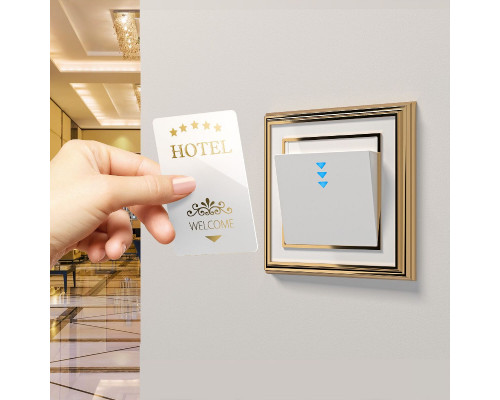Дополнительное фото Электронный карточный выключатель Werkel 4690389155291 W1153101 a051130: Купить в Интернет магазин освещения GCSVET.RU Дополнительное фото Электронный карточный выключатель Werkel 4690389155291 W1153101 a051130: Купить в Интернет магазин освещения GCSVET.RU
