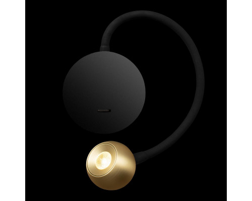 Дополнительное фото Гибкий светильник на стену Loft IT Point 10254 Brass: Купить в Интернет магазин освещения GCSVET.RU Дополнительное фото Гибкий светильник на стену Loft IT Point 10254 Brass: Купить в Интернет магазин освещения GCSVET.RU