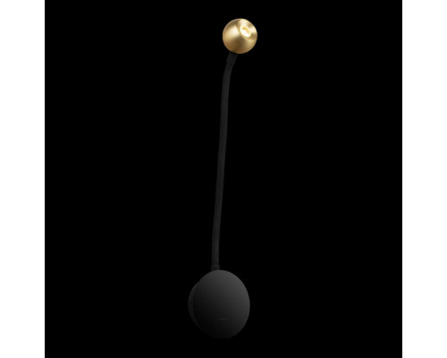 Дополнительное фото Гибкий светильник на стену Loft IT Point 10254 Brass: Купить в Интернет магазин освещения GCSVET.RU Дополнительное фото Гибкий светильник на стену Loft IT Point 10254 Brass: Купить в Интернет магазин освещения GCSVET.RU