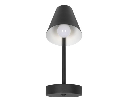 Основное фото Настенный светильник Loft IT Shelf 10216/1W Black: Купить в Интернет магазин освещения GCSVET.RU Основное фото Настенный светильник Loft IT Shelf 10216/1W Black: Купить в Интернет магазин освещения GCSVET.RU