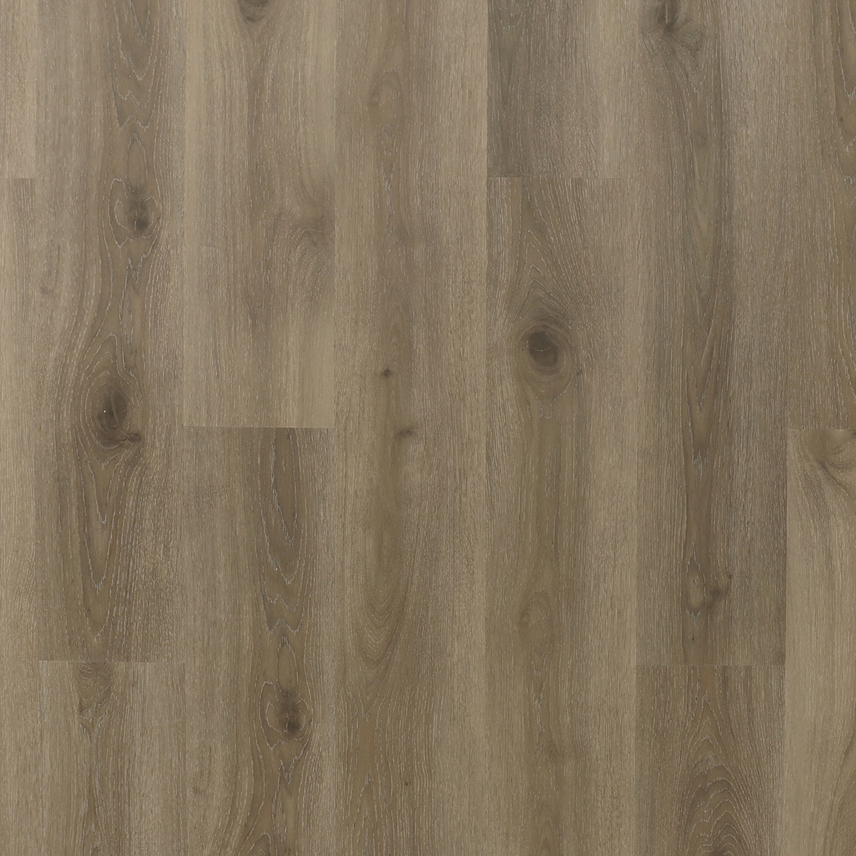 Corvette (Корвет) Corvette (Корвет)