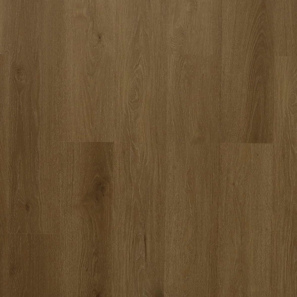 Canoe (Каноэ) Canoe (Каноэ)