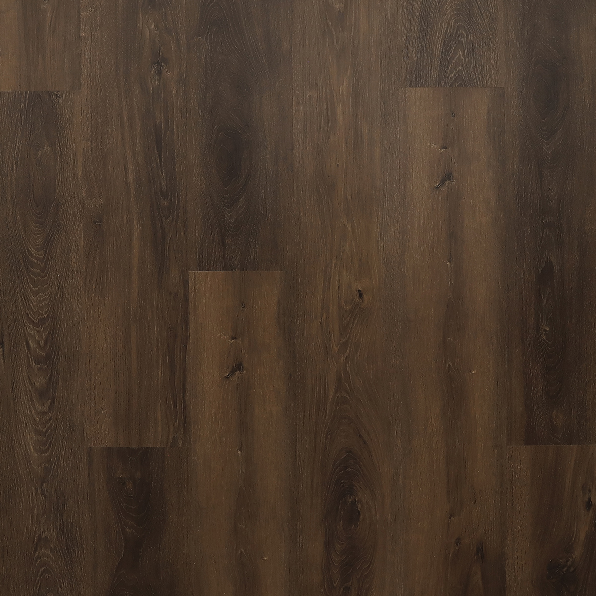 Galeon (Галеон) Galeon (Галеон)