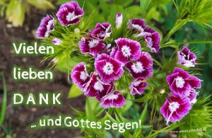 Vielen lieben DANK und Gottes Segen! Vielen lieben DANK und Gottes Segen!