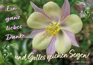 Ein ganz liebes Danke und Gottes reichen Segen! Ein ganz liebes Danke und Gottes reichen Segen!