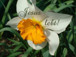 Jesus lebt - ohne Bibelvers Jesus lebt - ohne Bibelvers