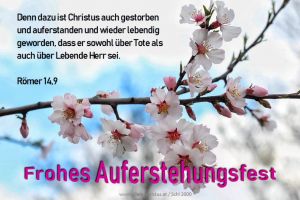 Römer 14,9 - Denn dazu ist Christus auch gestorben und auferstanden und wieder lebendig geworden, daß er sowohl über Tote als auch über Lebende Herr sei. Römer 14,9 - Denn dazu ist Christus auch gestorben und auferstanden und wieder lebendig geworden, daß er sowohl über Tote als auch über Lebende Herr sei.