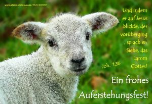 Johannes 1,36 - Und indem er auf Jesus blickte, der vorüberging, sprach er: Siehe, das Lamm Gottes![ Johannes 1,36 - Und indem er auf Jesus blickte, der vorüberging, sprach er: Siehe, das Lamm Gottes![