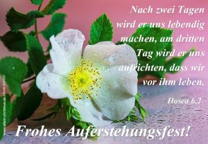 Hosea 6,2 - Nach zwei Tagen wird er uns lebendig machen, am dritten Tag wird er uns aufrichten, dass wir vor ihm leben. Hosea 6,2 - Nach zwei Tagen wird er uns lebendig machen, am dritten Tag wird er uns aufrichten, dass wir vor ihm leben.