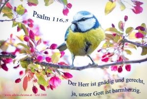 Psalm 116,5 - Der Herr ist gnädig und gerecht, ja unser Gott ist barmherzig Psalm 116,5 - Der Herr ist gnädig und gerecht, ja unser Gott ist barmherzig