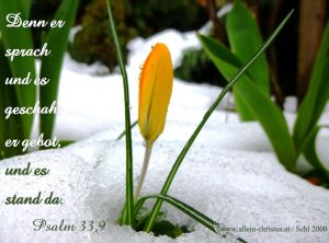Psalm 33,9 - Denn er sprach und es geschah; er gebot und es stand da. Psalm 33,9 - Denn er sprach und es geschah; er gebot und es stand da.