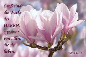 Psalm 111,2 - Groß sind die Werke des Herrn, erforscht von allen, die sie lieben Psalm 111,2 - Groß sind die Werke des Herrn, erforscht von allen, die sie lieben