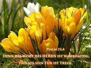 Psalm 33,4 - Des Herrn Wort ist wahrhaftig, und was er zusagt, hält er gewiss Psalm 33,4 - Des Herrn Wort ist wahrhaftig, und was er zusagt, hält er gewiss