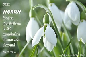Psalm 118,23 - ...vom Herrn ist das geschehen, es ist wunderbar in unseren Augen Psalm 118,23 - ...vom Herrn ist das geschehen, es ist wunderbar in unseren Augen