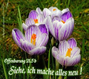 Offenbarung 21,5 - Siehe, ich mache alles neu! Offenbarung 21,5 - Siehe, ich mache alles neu!
