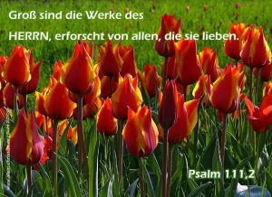 Psalm 111,2 - Groß sind die Werke des Herrn, erforscht von allen, die sie lieben Psalm 111,2 - Groß sind die Werke des Herrn, erforscht von allen, die sie lieben