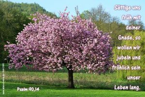 Psalm 90,14 - Sättige uns früh mit deiner Gnade, so wollen wir jubeln und fröhlich sein unser Leben lang Psalm 90,14 - Sättige uns früh mit deiner Gnade, so wollen wir jubeln und fröhlich sein unser Leben lang