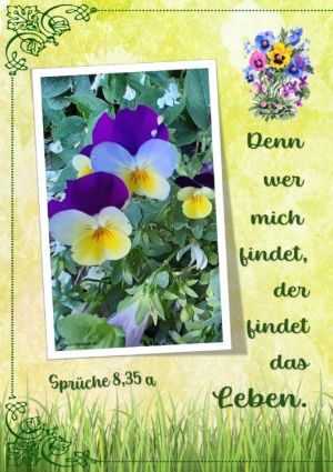 Sprüche 8,35 a - Denn wer mich findet, der findet das Leben. Sprüche 8,35 a - Denn wer mich findet, der findet das Leben.