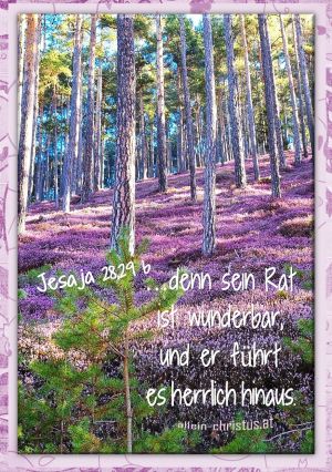 Jesaja 28,29 b - …denn sein Rat ist wunderbar, und er führt es herrlich hinaus. Jesaja 28,29 b - …denn sein Rat ist wunderbar, und er führt es herrlich hinaus.