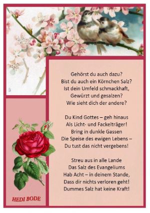 Das Salz der Erde von Hedi Bode Das Salz der Erde von Hedi Bode