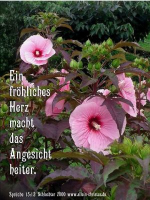 Sprüche 15,13 - Ein fröhliches Herz macht das Angesicht heiter. Sprüche 15,13 - Ein fröhliches Herz macht das Angesicht heiter.