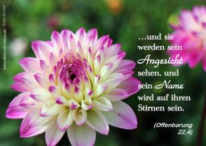 Offenbarung 22,4 - und sie werden sein Angesicht sehen, und sein Name wird auf ihren Stirnen sein. Offenbarung 22,4 - und sie werden sein Angesicht sehen, und sein Name wird auf ihren Stirnen sein.